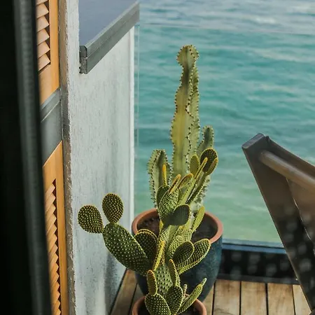 Surfer Caravan Gastro Pub Suites- Adults Only 公寓 *