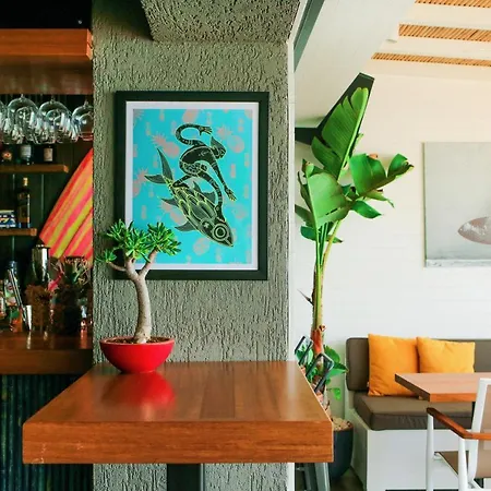 公寓 Surfer Caravan Gastro Pub Suites- Adults Only