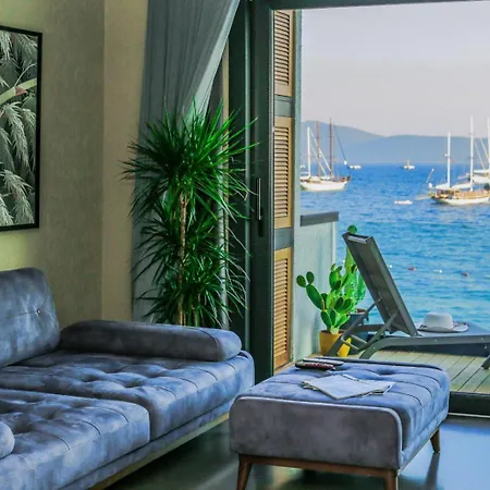 公寓 Surfer Caravan Gastro Pub Suites- Adults Only *