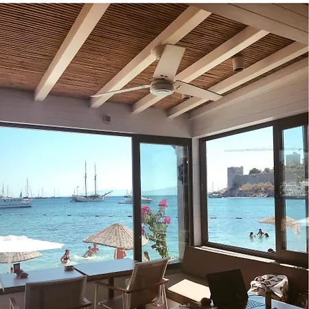 公寓 Surfer Caravan Gastro Pub Suites- Adults Only 博德鲁姆