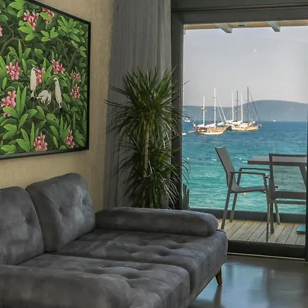 公寓 Surfer Caravan Gastro Pub Suites- Adults Only *