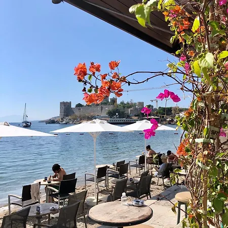 Surfer Caravan Gastro Pub Suites- Adults Only Αλικαρνασσός